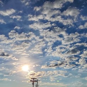 Meet your Posher, Darlene